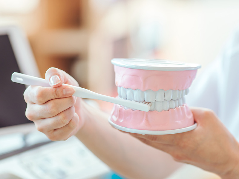 歯科衛生士の役割